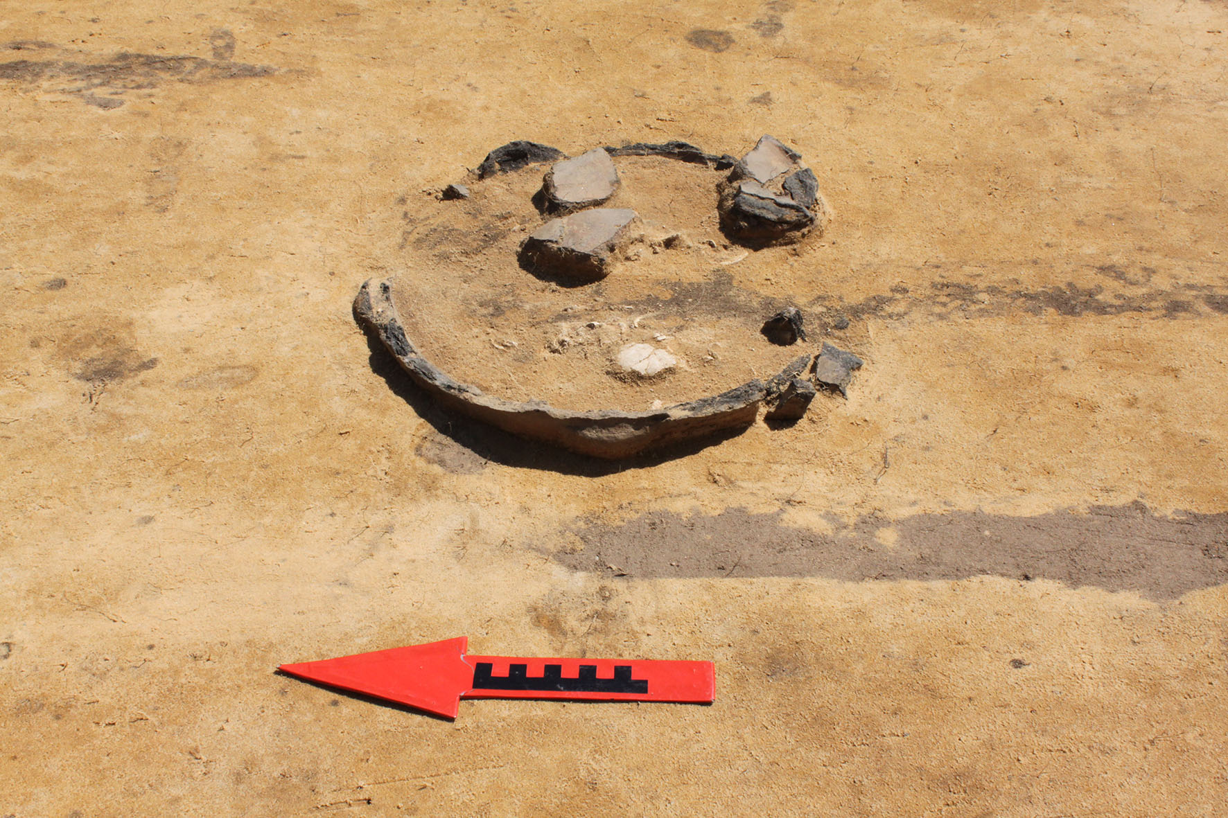 archaeological research in Dąbrowa near Wieluń 2025