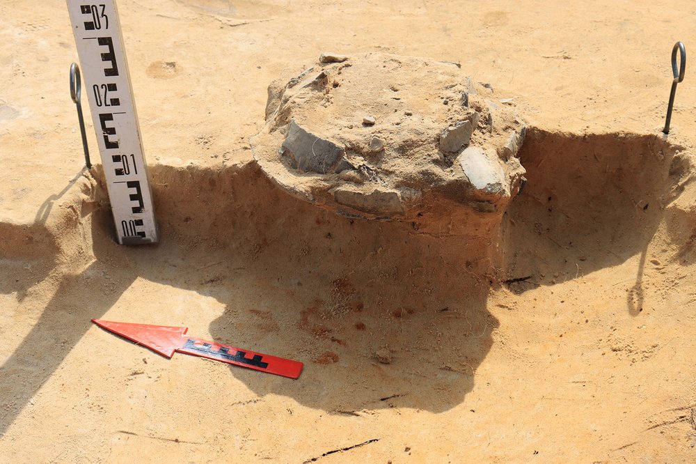 archaeological research in Dąbrowa near Wieluń 2025