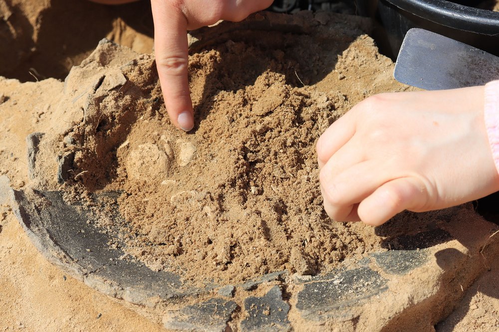 archaeological research in Dąbrowa near Wieluń 2025