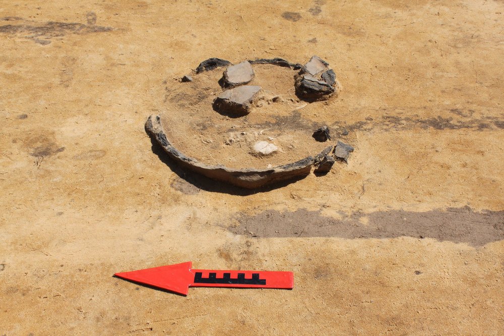 archaeological research in Dąbrowa near Wieluń 2025