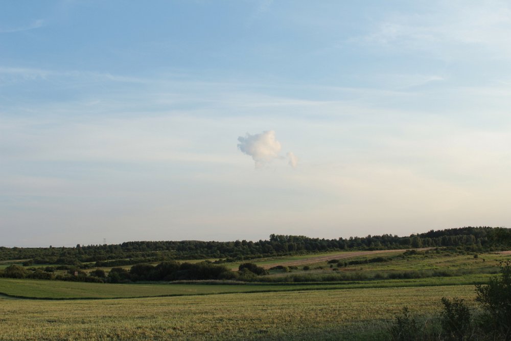 Jura 2024