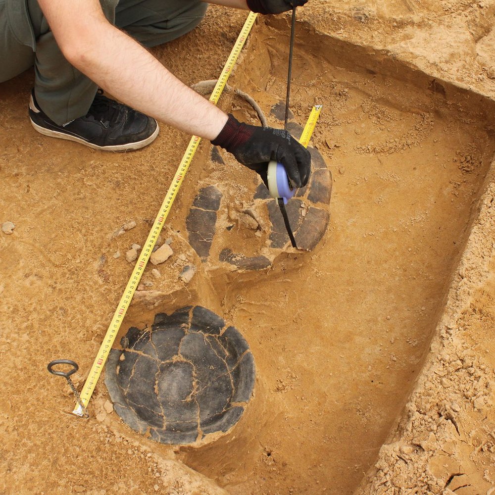 archaeological research in Dąbrowa near Wieluń 2025